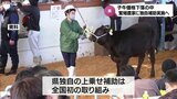 子牛取引価格の低迷を受け 宮崎県が和牛繁殖農家に独自の補助策 9月県議会に補正予算を提案へ|TBS NEWS DIG