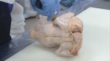 「鶏の仕事のイメージが変われば」高校生が丸鶏の解体を体験して『養鶏産業』学ぶ「ささみが意外に少ない!」|TBS NEWS DIG