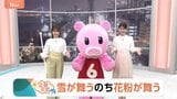 【3月4日 関東の天気】雪が舞うのち花粉が舞う|TBS NEWS DIG