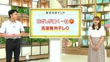 高知の天気　10日天気回復　広い範囲で日差し届く　山岸拓気象予報士が解説|TBS NEWS DIG