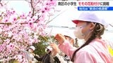 『桃源郷』の児童たち モモの花粉付け体験 6月には袋掛けにも挑戦！地元特産のフルーツを学ぶ　新潟市南区|TBS NEWS DIG