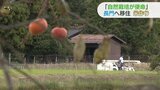 「自然栽培が使命」山口・長門へ移住して米作りの夫婦 目指す農業とは | 山口のニュース・天気・防災|tys NEWS|tysテレビ山口