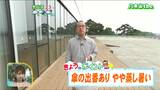 「昼前まで急な強い雨や落雷に注意、午後も雨が降ったりやんだり」宮城の30秒天気 tbc気象台 19日|TBS NEWS DIG