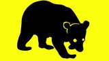 【詳報】3年連続で「ツキノワグマ出没注意報」青森県内全域に発表 クマのエサ「ブナの実」が豊作で冬眠明けの“母グマ”がエサを求め行動範囲を広げる恐れ | 青森のニュース│ATV NEWS│青森テレビ