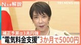 電気・ガス代「3か月で5000円」支援へ　 ガソリン補助や“ナフサ目詰まり”に政府の次の一手は【Nスタ解説】|TBS NEWS DIG