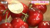 さくらんぼの大玉新品種「やまがた紅王」の重さを競うコンテスト開催　 これがさくらんぼのスーパーエリートだ！（山形・寒河江市）　|　山形のニュース│TUYテレビユー山形
