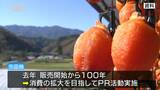 南信州特産「市田柿」販売開始100年を記念して…学生考案「レシピブック」配布 長野|TBS NEWS DIG