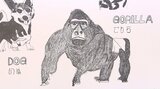 障害者アート作品登場 タワーマンション建設が進むフェンスに作家8人の50点を展示 大分 | 大分のニュース|OBS NEWS|大分放送