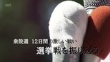 12日間の激戦 大物議員も続々と宮崎県入り 衆議院議員選挙を振り返る | MRTニュース | MRT宮崎放送
