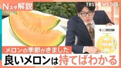 おいしいメロンの見分け方、ツルに近い上部と、下部のおしりではどちらが甘い？【Nスタ解説】| TBS CROSS DIG with Bloomberg