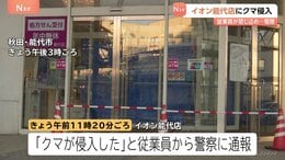 イオンにクマが侵入…体長約80センチの子グマか　麻酔で捕獲しその場で駆除　客らにけがなし　秋田・能代市|TBS NEWS DIG