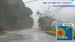 台風13号　沖縄本島地方はきのう（7日）から丸1日暴風域に入った状態　倒木や停電相次ぐ　本島北部中心に一時最大で約1万8000戸が停電　少なくとも9人がけが|TBS NEWS DIG