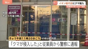 イオンにクマが侵入…体長約80センチの子グマか 麻酔で捕獲しその場で駆除 客らにけがなし 秋田・能代市|TBS NEWS DIG