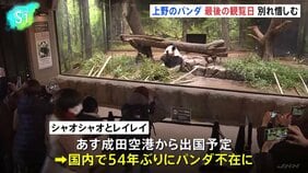 上野の「双子パンダ」観覧最終日 あす27日に中国へむけ出発 国内のパンダは54年ぶり不在に |TBS NEWS DIG