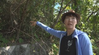 「続けていけば必ずこれに打ち勝てる日は来る」ワイン醸造家が奮闘 耕作放棄地をワイン用ブドウ畑へ 再生に挑む | 山梨のニュース | UTYテレビ山梨