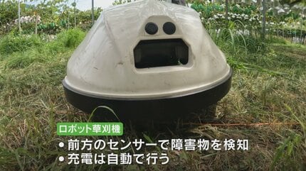 草刈機　実働 RMK151X | ラビットモアー RABBIT MOWER | 草刈機 | 製品一覧 | 株式