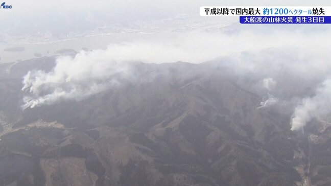 【山火事】大船渡市山林火災 現地の様子 中継|TBS NEWS DIG