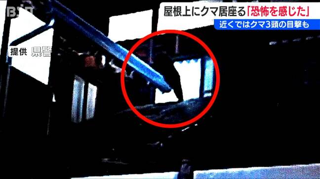 「ガラス1枚挟んで恐怖を感じた」夜のあいだ屋根上にクマ 近所では目撃情報も3頭　新潟県南魚沼市|TBS NEWS DIG
