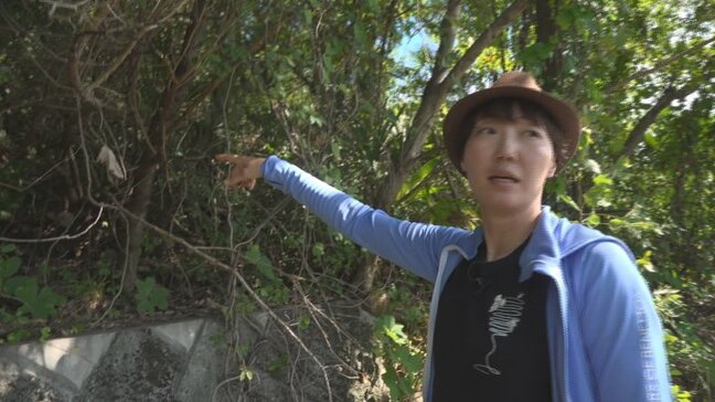 「続けていけば必ずこれに打ち勝てる日は来る」ワイン醸造家が奮闘　耕作放棄地をワイン用ブドウ畑へ　再生に挑む|TBS NEWS DIG