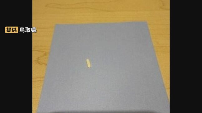 児童相談所一時保護所で提供された給食みそ汁にプラスチック破片混入 口に含んだ際に硬いものに気付き、口から出す 鳥取県|TBS NEWS DIG