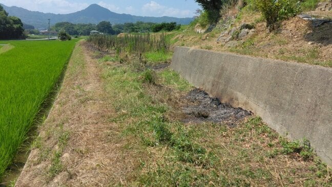 99歳の男性が死亡　休耕田で下草が焼ける火事　野焼きが燃え広がったか【香川・丸亀市】|TBS NEWS DIG