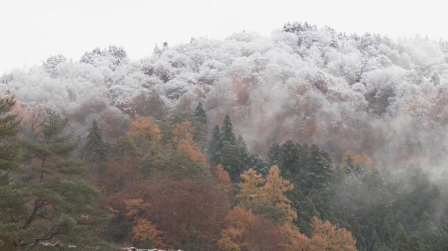 岐阜・高山の市街地周辺で初雪 白川郷はうっすら雪化粧 東海地方は今季一番の冷え込みで12月並みの寒さに|TBS NEWS DIG