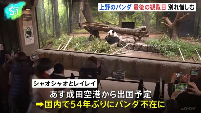 上野の「双子パンダ」観覧最終日　あす27日に中国へむけ出発　国内のパンダは54年ぶり不在に|TBS NEWS DIG