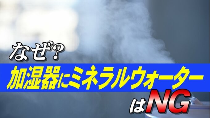 加湿器に「ミネラルウォーター」はNG！そのワケは？メーカーに聞いてみた|TBS NEWS DIG