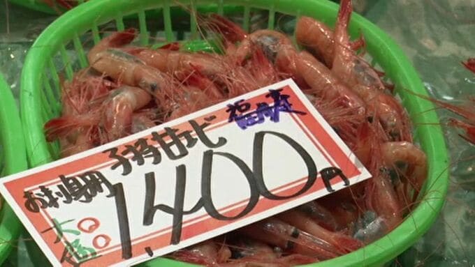 「異例の事態」底引き網漁の初物店頭に登場も…石川県産は例年の半分ほどに　|　石川県のニュース｜MRO北陸放送