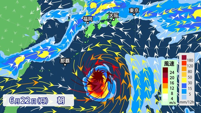 【大雨情報】「警報級大雨」のおそれ　15日にかけて梅雨前線上の低気圧が東進　日本のはるか南には低圧部発生か【気象庁・雨風の予想シミュレーション】|TBS NEWS DIG
