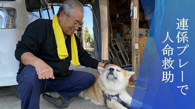 用水路に倒れた高齢女性、飼い主引っ張り知らせる　元保護犬タローがお手柄　ごほうびは“鹿の角”　　|　福島のニュース│TUF