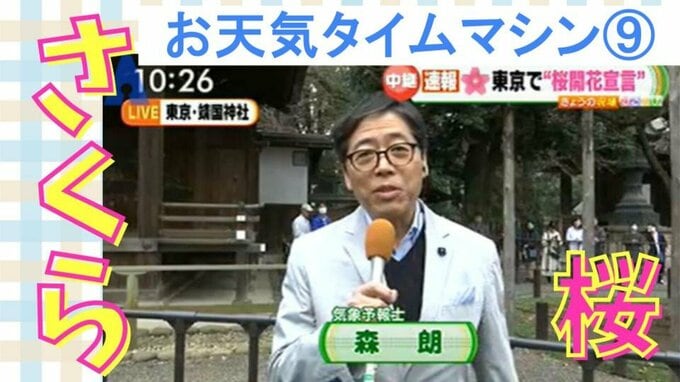 今年の桜はいつ開花?標本木と開花宣言のお話【お天気タイムマシン】|TBS NEWS DIG