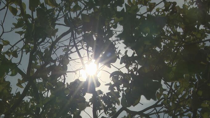 「春暖かく、夏は暑い」金沢地方気象台発表 平均気温・記録的高温の2025年は「かなり高い」、2026年は「高い」それでも「暑い夏」に|TBS NEWS DIG