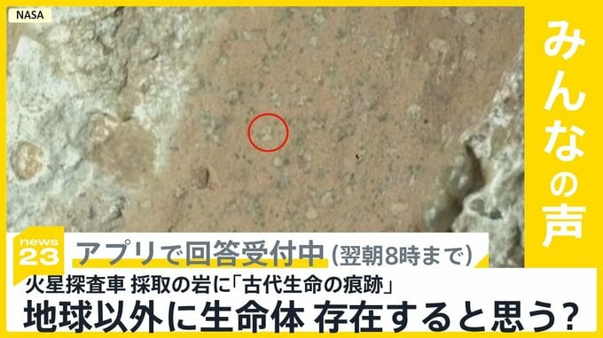 火星探査車が去年採取した岩に「古代生命の痕跡」NASA発表 地球以外に生命体は存在すると思う？【news23】|TBS NEWS DIG