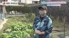 税金を食う〈売れない斜面国有地〉に新たな息吹を！畑に変え人を呼び込む九州初の挑戦【長崎】　|　長崎のニュース | 天気 | NBC長崎放送