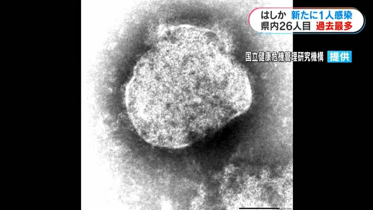 はしか新たに1人感染　10代男性　県内26人目　統計開始以降、過去最多　鹿児島