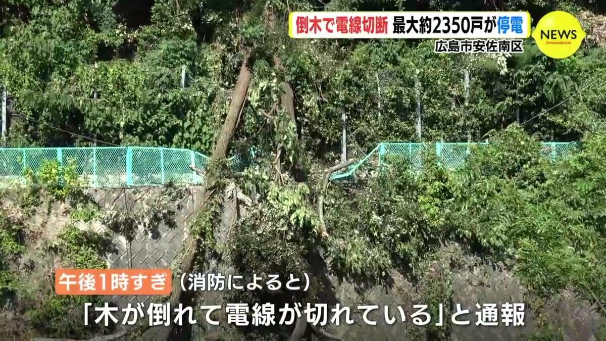 横浜市 倒木 停電