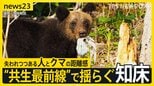 変わったのはクマか人か…「ヒグマの人慣れ」“共生最前線”知床で深刻化 “エサやり”・“クマ待ち” 問われる人間のモラル 8月には世界遺産登録後初の死亡事故も【news23】|TBS NEWS DIG