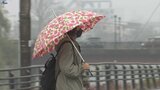 冬型の気圧配置 岩手県内は朝から曇りや雨 内陸や沿岸の山沿いは午後に雪に変る見込み|TBS NEWS DIG