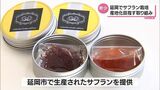 1グラム約1000円・希少価値高い「サフラン」延岡市で産地化への取り組み進む | MRTニュース | MRT宮崎放送