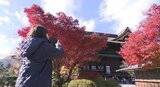 善光寺は紅葉真っ盛り「こんなに紅葉がきれいに色づくとは初めて知った…」県内外からの参拝客も赤や黄色のコントラストを堪能　|　SBC NEWS | 長野のニュース | SBC信越放送