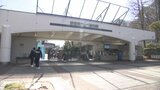 西日本有数の動物園・愛媛県立とべ動物園 入園料が大人500円→600円に 年間パスポートも1500円→2000円 園側には切実な事情 | 愛媛のニュース - Nスタえひめ|あいテレビは6チャンネル