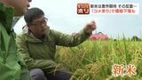 新米5キロが税抜き3000円割れも？コメ不足から一転「在庫過剰」へ…農家は「不安定ならやっていけない」2026年米価の下落要因と今後の懸念|TBS NEWS DIG