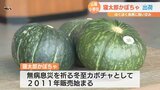 無病息災を祈る冬至カボチャ 寝太郎かぼちゃの出荷式 | 山口のニュース・天気・防災|tys NEWS|tysテレビ山口