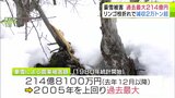 【詳報】「額面としては史上最大の被害」冬の“豪雪”による農業被害額は214億8100万円で過去最大に 「リンゴ枝折れ」202億円余・「パイプハウスの倒壊」約4億円など 青森県|TBS NEWS DIG
