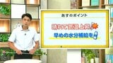 高知の天気　30日広く晴れて気温上昇　危険な暑さに　山岸拓気象予報士が解説|TBS NEWS DIG