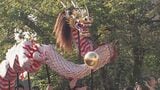 「もってこーい!」長崎くんち開幕 6か町奉納踊 | 長崎のニュース | 天気 | NBC長崎放送