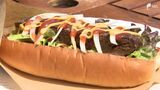 「肉のうまみ強く 臭みなく」イノシシで“ジビエドッグ” 駆除された“命”無駄にしない【しずおか産】 | 静岡のニュース | SBSNEWS | 静岡放送