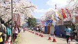 満開のサクラのもと　約４０００人のランナーが疾走　あおもり桜マラソン　青森県青森市　|　青森のニュース│ATV NEWS│青森テレビ
