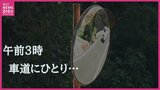 「道が分からんのよ…」午前3時、車道の真ん中に93歳の男性　携帯には大量の不在着信　25歳の女性がとっさに取った行動は　広島|TBS NEWS DIG